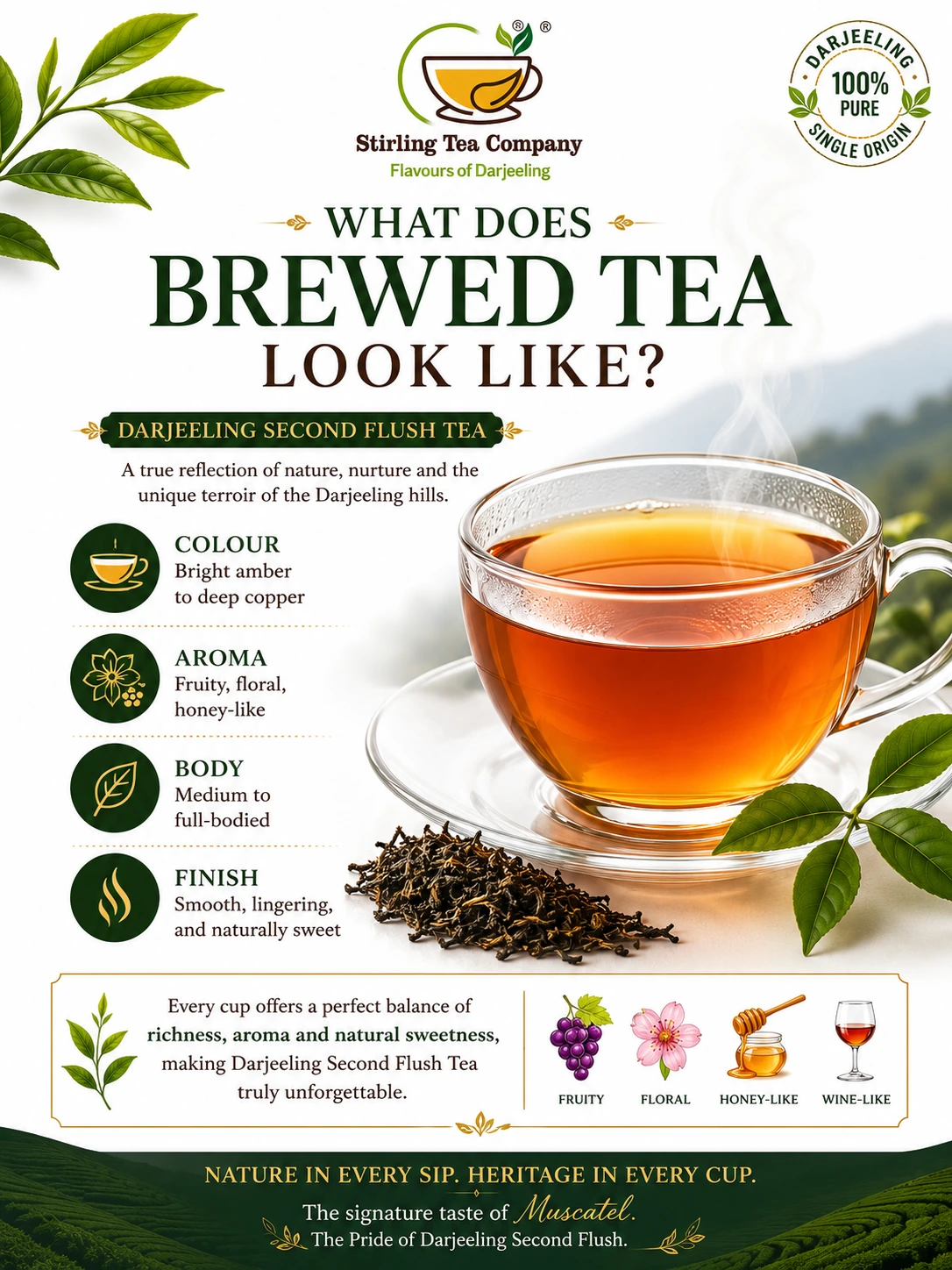 Brewed tea muscatel