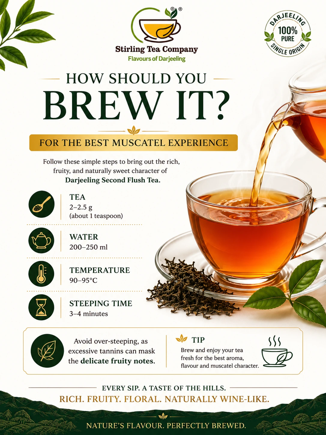 CLASSIC MUSCATEL, Second Flush Darjeeling Muscatel Tea, Darjeeling Muscatel Tea - Image 4