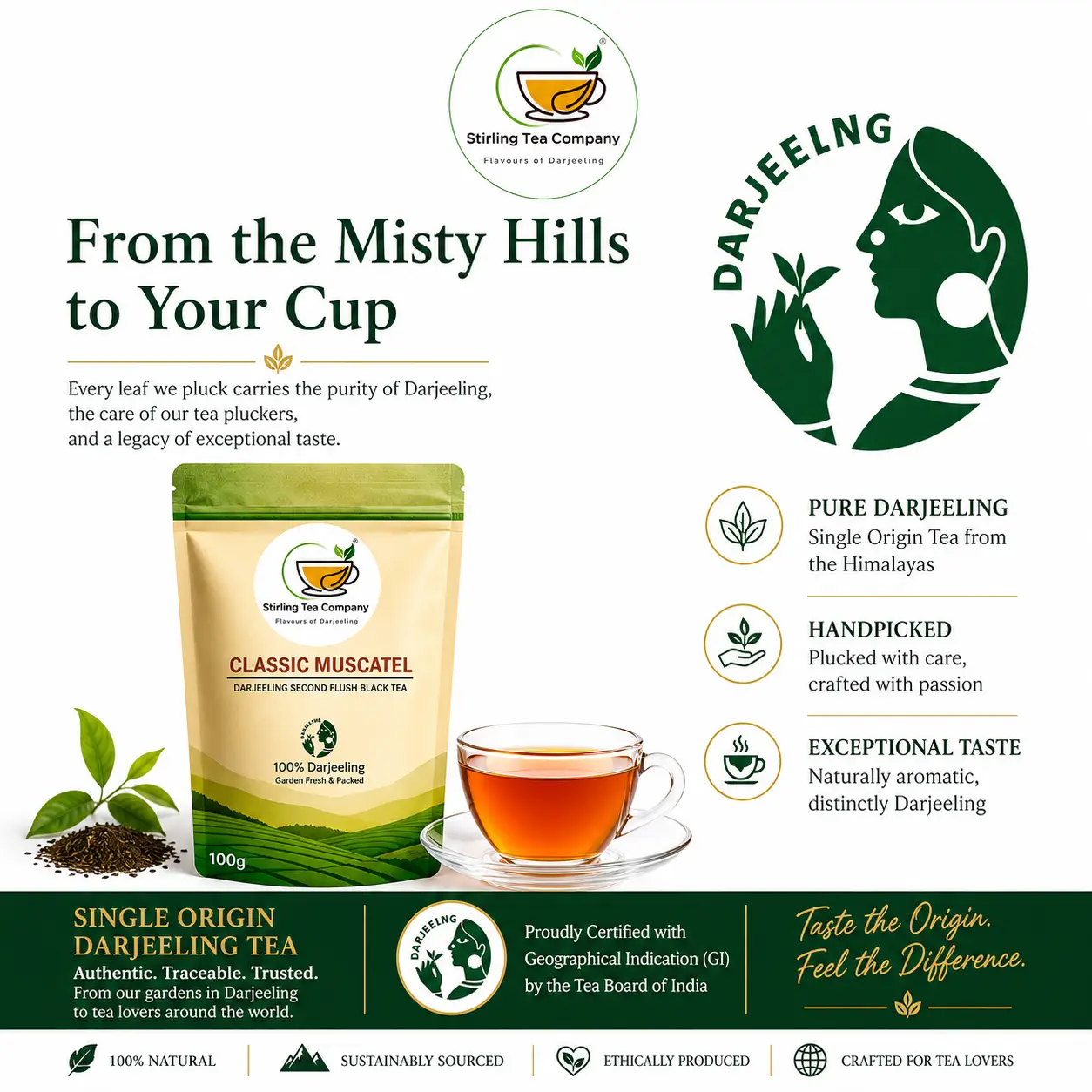 CLASSIC MUSCATEL, Second Flush Darjeeling Muscatel Tea, Darjeeling Muscatel Tea - Image 10